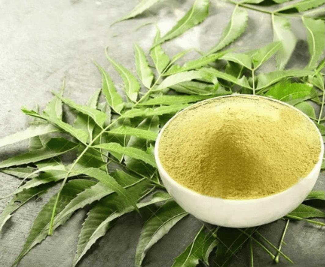 Neem Leaf Powder